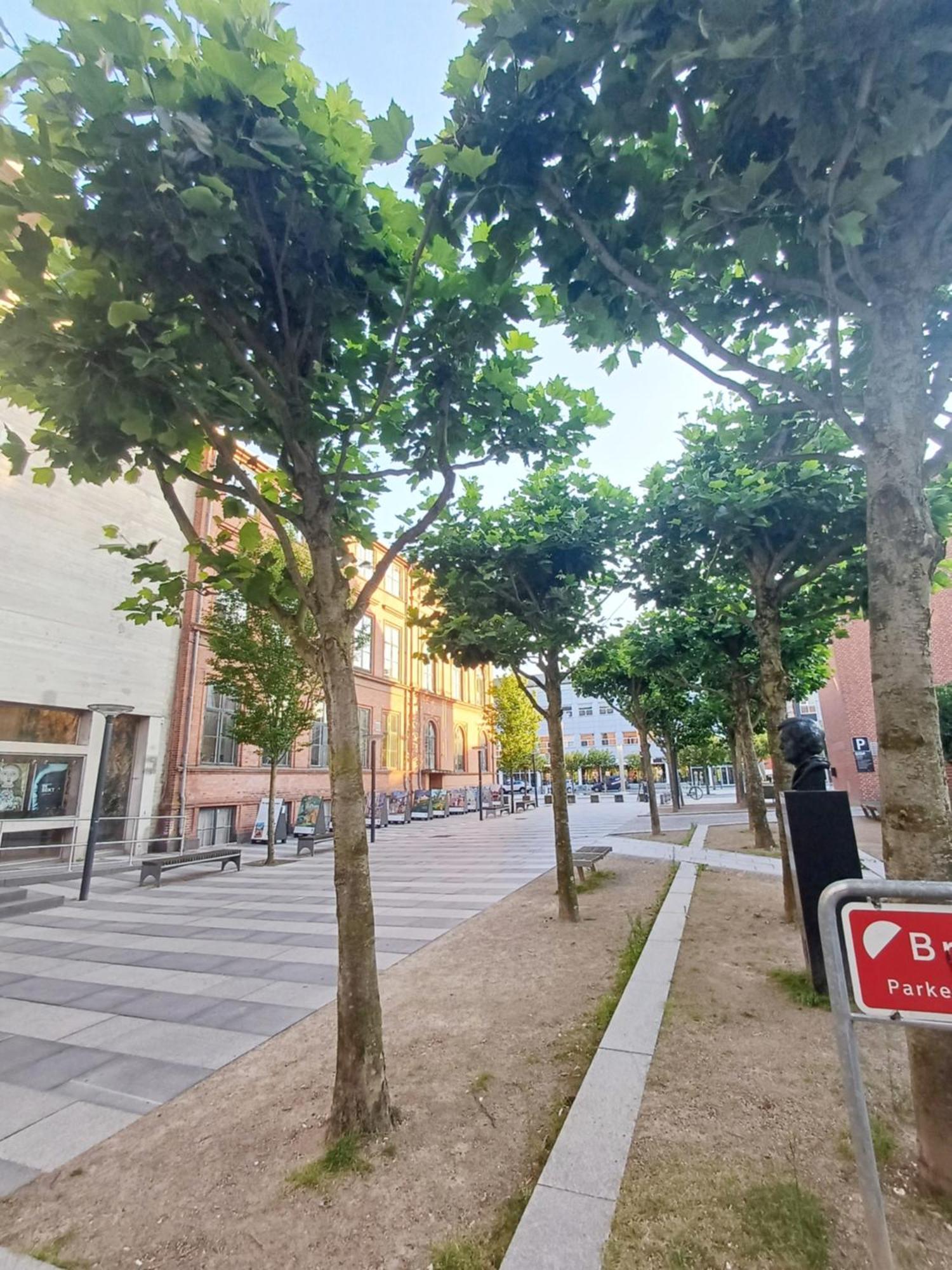 Large Double Room In The Center Of City Randers Ngoại thất bức ảnh