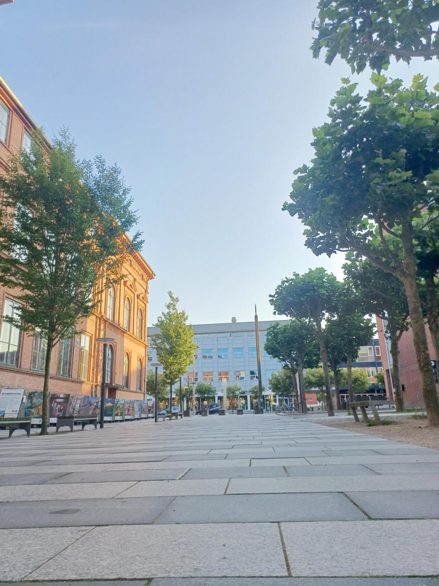 Large Double Room In The Center Of City Randers Ngoại thất bức ảnh